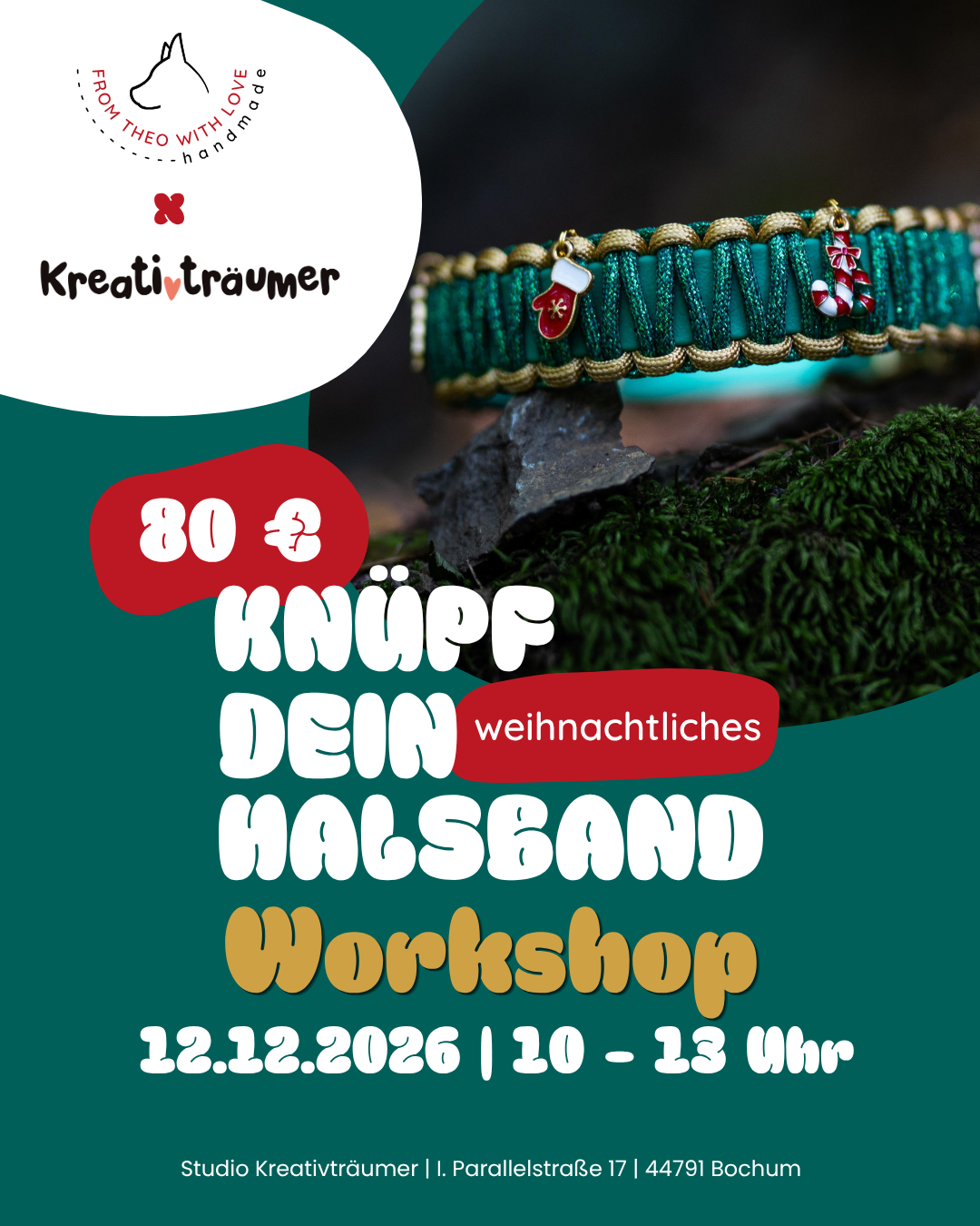 Knüpf dein Weihnachts-Hunde-Halsband Workshop
