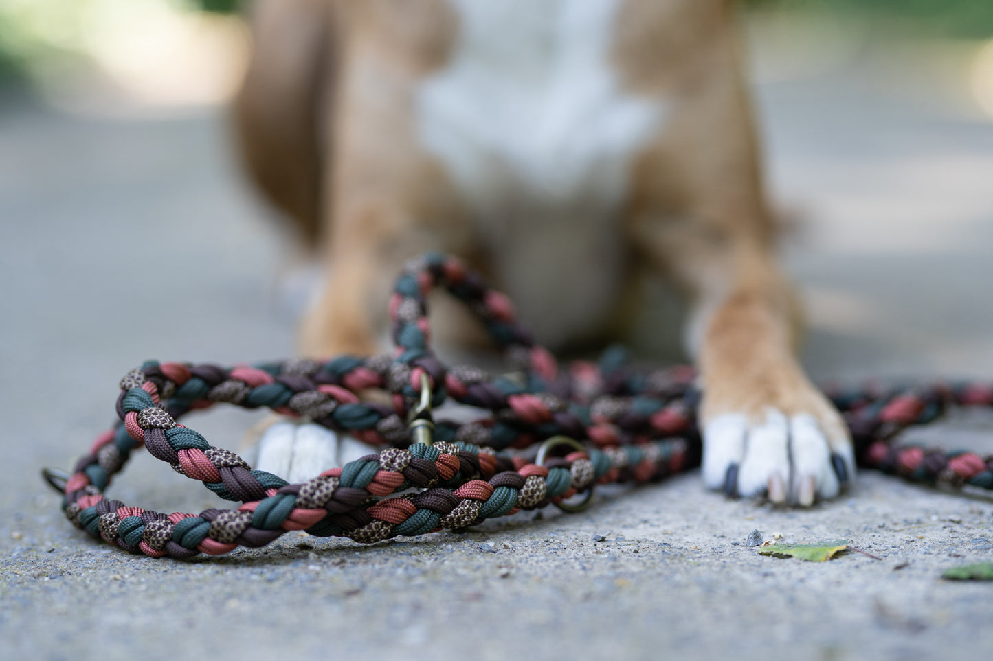 Workshop: Knüpfe deine Paracord-Leine!