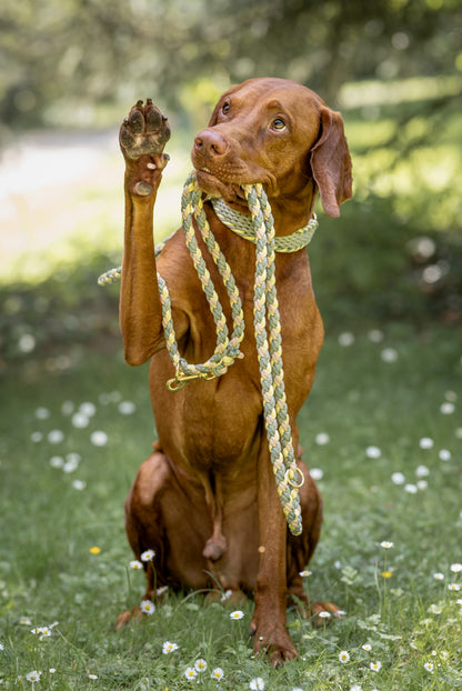 Workshop: Knüpfe deine Paracord-Leine!